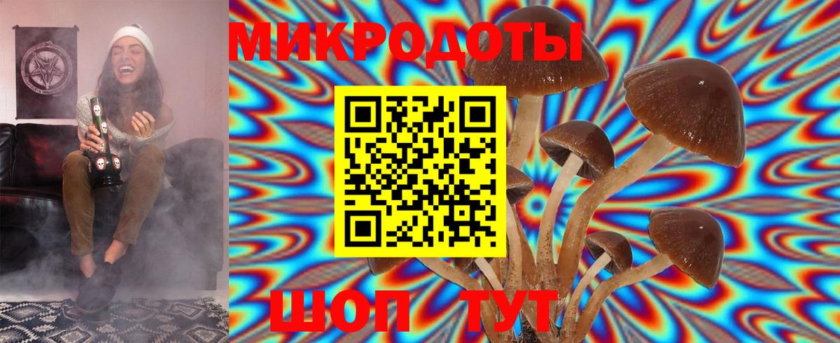 Гудермес  Псилоцибиновые грибы прущие грибы  Галлюциногенные грибы Psilocybine cubensis  Вход с VPN 