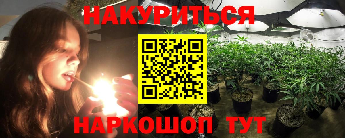 Бошки марихуана тримм  Вход с VPN  Бошки марихуана тримм  Гудермес  Конопля OG Kush 